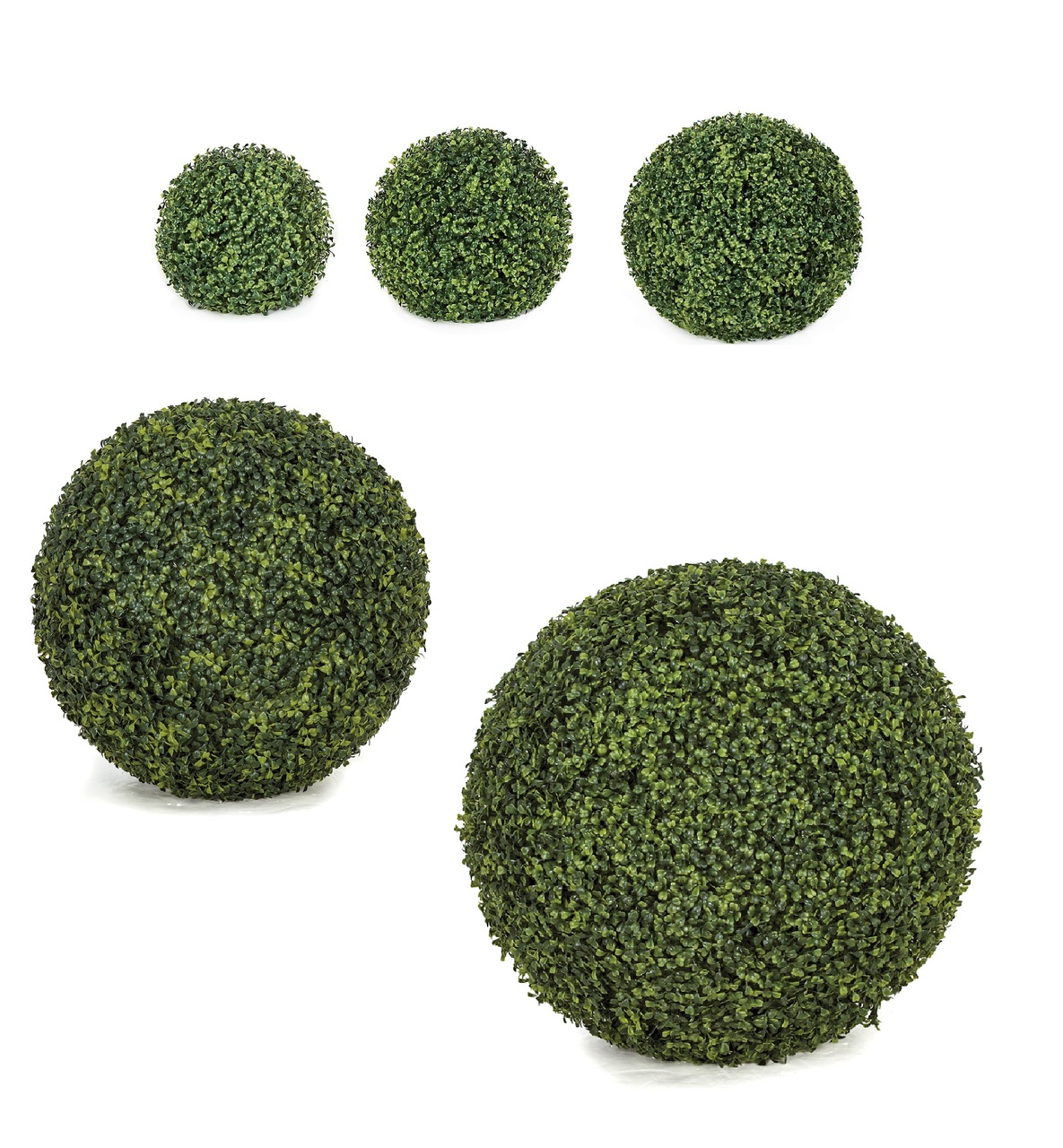 Outdoor 10 inch Diameter Traditional or American Boxwood Ball